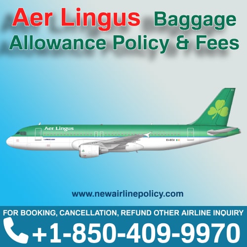 Aer Lingus Baggage Tracking