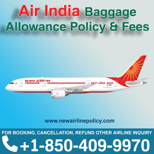 Air India Airlines Extra Luggage