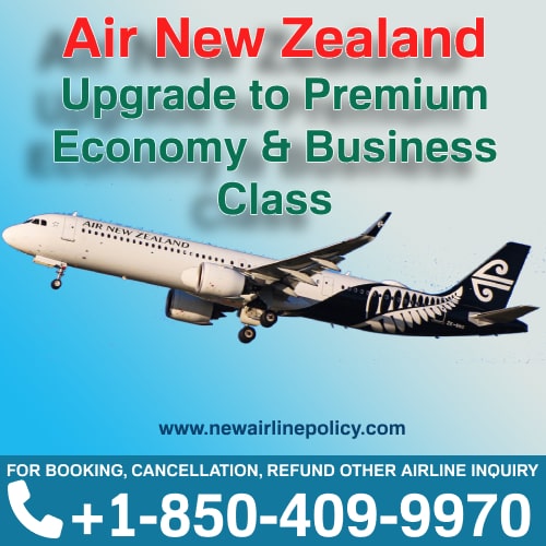 Upgrade Class For Air New Zealand Long Haul Trip 