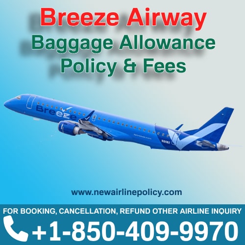 Breeze Airways Baggage Tracking