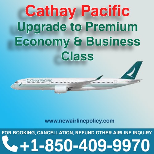 How To Upgrade Cathay Pacific Ticket