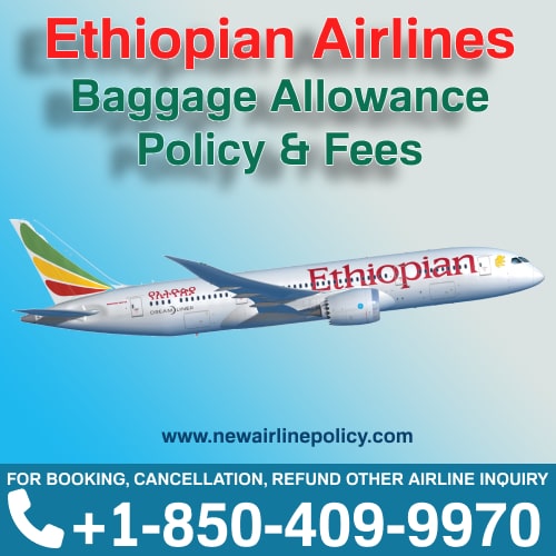 Ethiopian Airlines Baggage Tracking