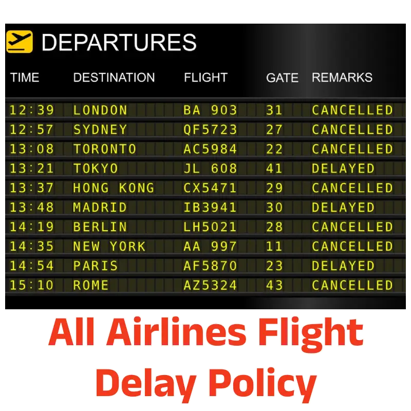 Policy For Domestic Flight Delays