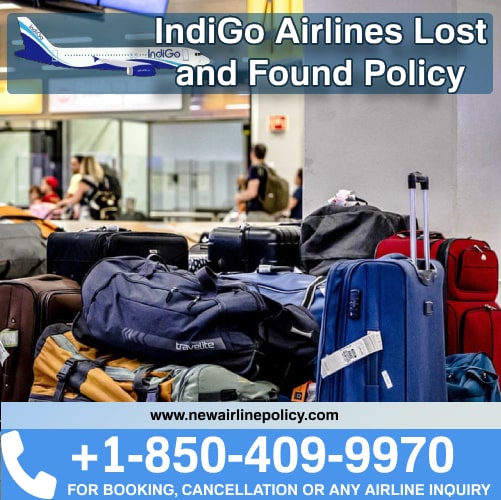 How To Get Back Lost IndiGo Airlines Luggage