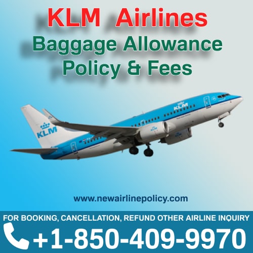 KLM Airline Allowed Baggage Size