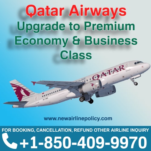 Qatar Airways Upgrade Class For Long Haul Trip 