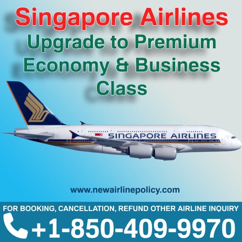 24 Hour Air Ticket Upgrade Singapore Airlines