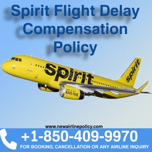 Policy For Spirit Flight Delays