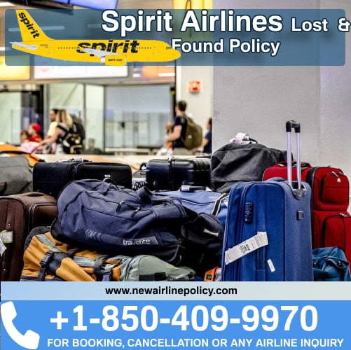 Spirit Airlines Airlines Compensation for Lost Luggage