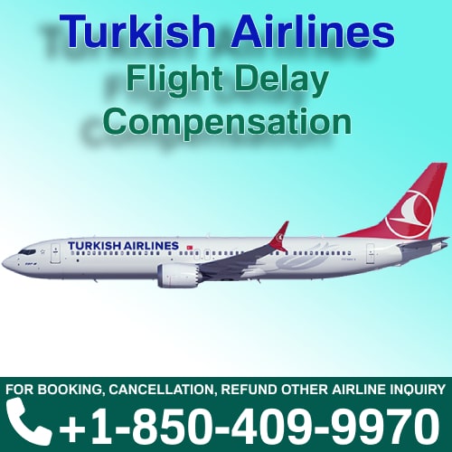 Turkish Airlines Ticket Flight Delay Fees